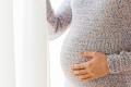 Congedo per malattia per gravidanza e parto durante il congedo di maternità 156 giorni congedo per malattia per gravidanza e parto