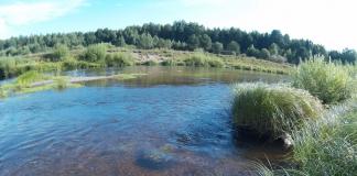 Риболов на река Летка в района на Киров - репортаж с видео