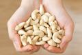 Nuts during pregnancy: useful properties and contraindications