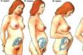 sedmica trudnoće - iscjedak